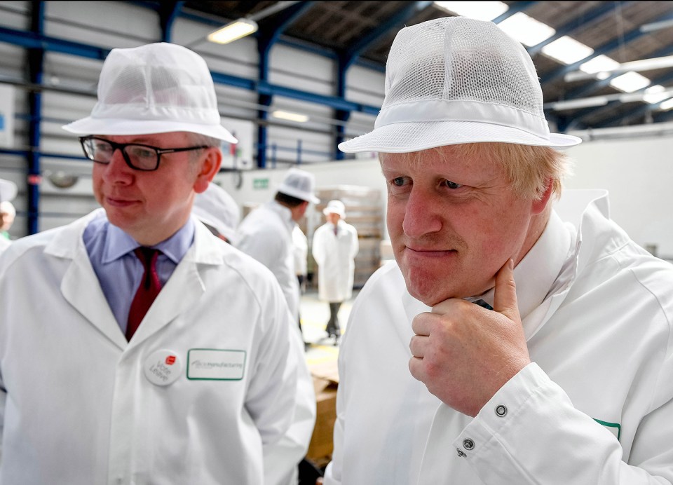Brexit Gove Boris Johnson