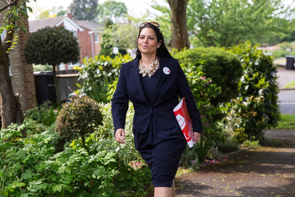 Priti Patel Vote Leave