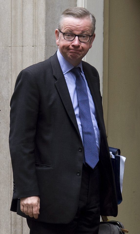 He warned Cameron against axing fellow Brexiteer Michael Gove from the Cabinet