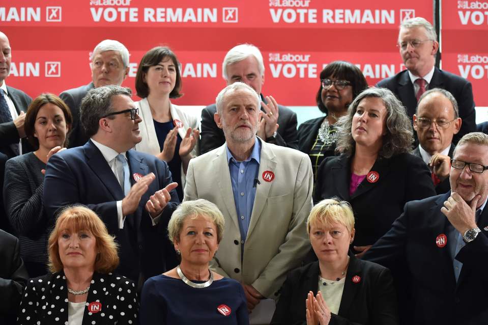 Corbyn EU referendum