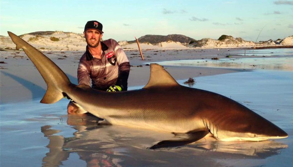 Shark fishing trip