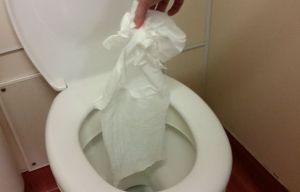 Wet wipes are killing sea life because they're being flushed down the loo and not binned, experts warn
