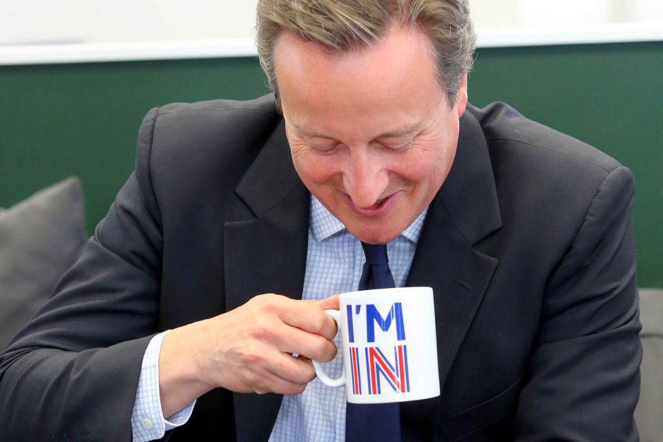Britain's Prime Minister David Cameron s