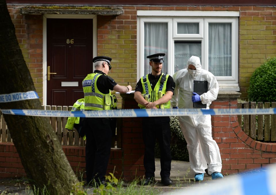 Jo Cox murder
