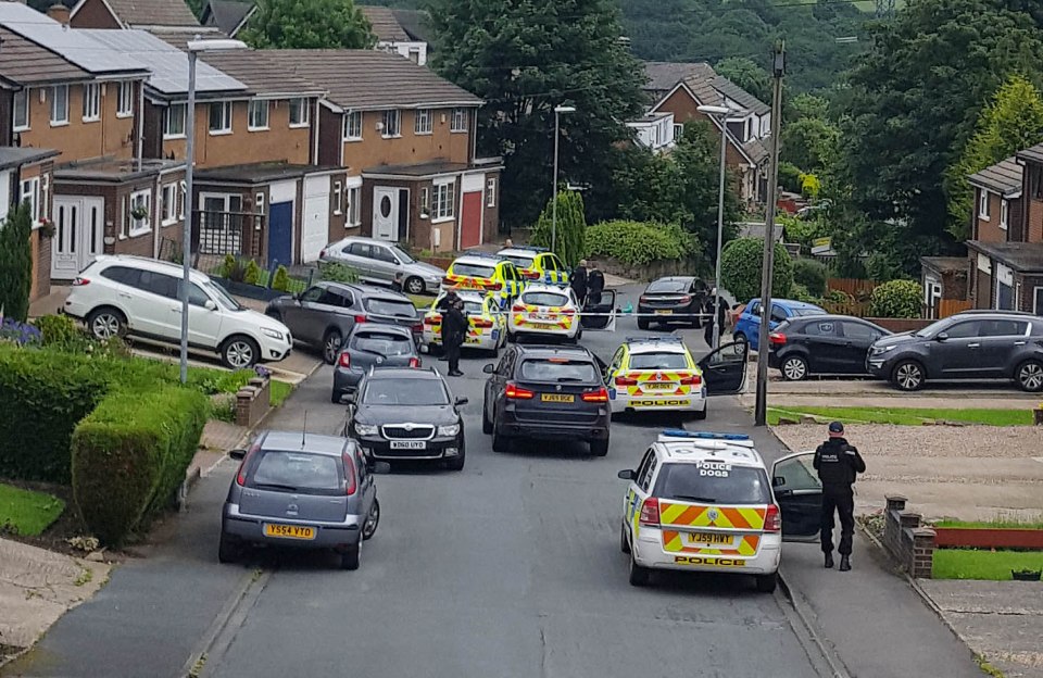 MP Jo Cox murder.