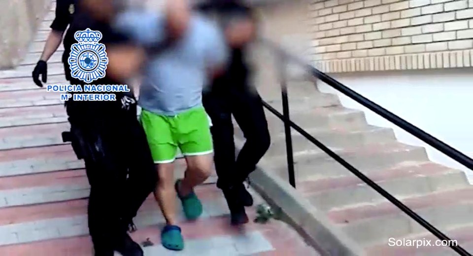 One of the policemen had to fire a warning shot in the air as the fugitive resisted arrest