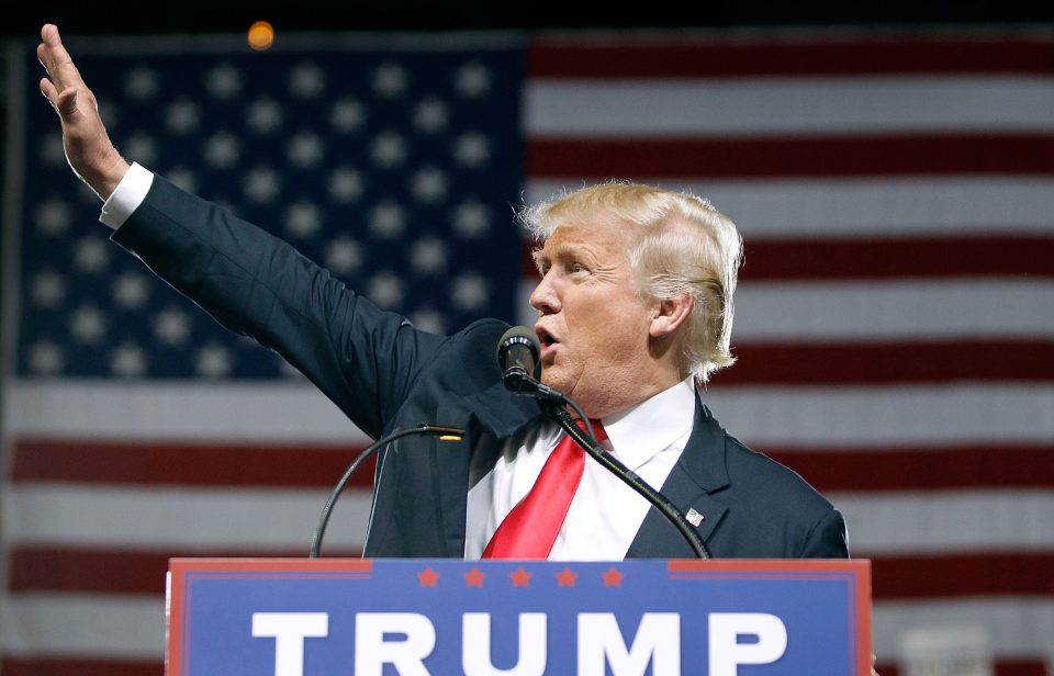Cameron said this approach reflects a "Donald Trump-style" 