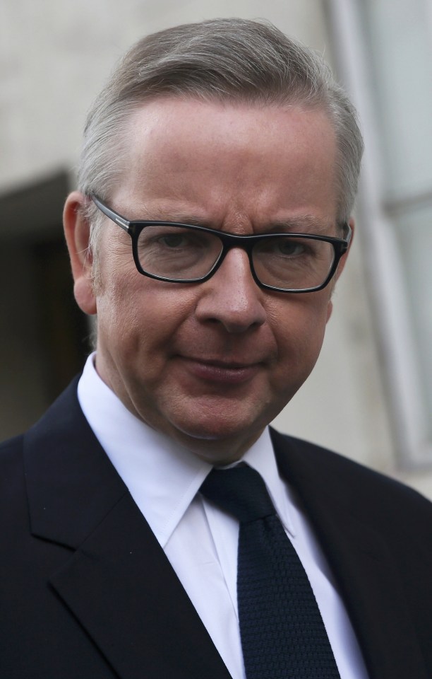 Justice Secretary Michael Gove