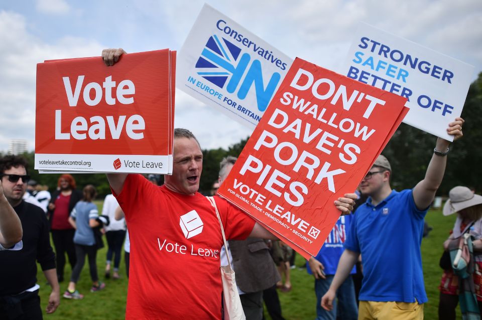 A campaigner for 'Vote Leave', the offic