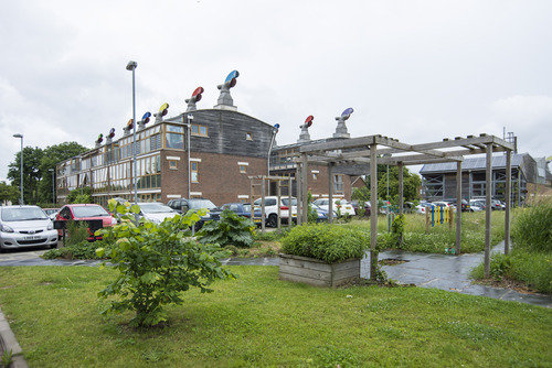 A Peabody Estates spokesman said the rats were believed to be living in nest sites near the river