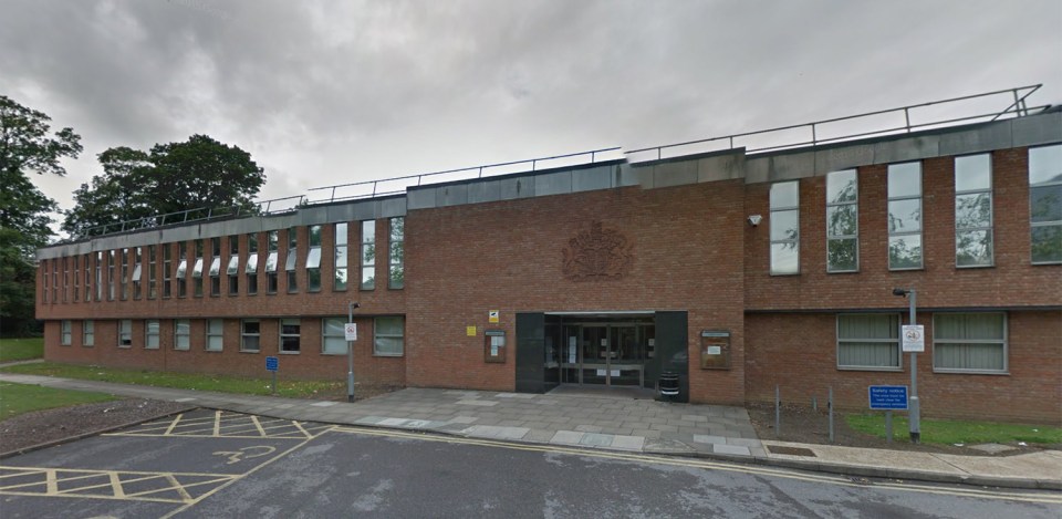 Costica Voedes appeared at South East Surrey Law Courts 