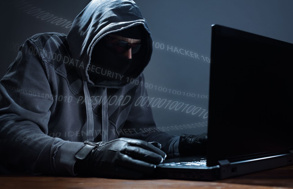 Hack attack... crooks want to get their hands on your data