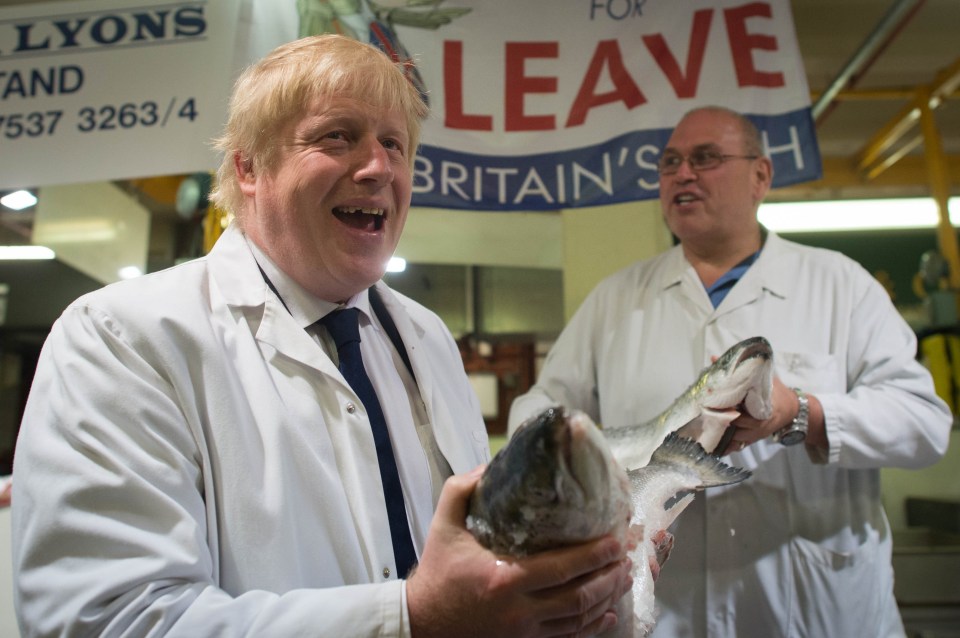 EU referendum Boriis