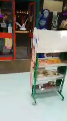 Seagull shoplifter