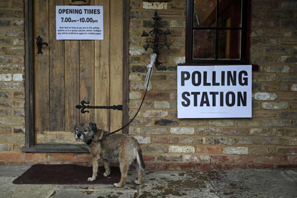 A dog waits as its owner casts their ballot paper in a polling station set up in the grounds of a private residence near Fleet, southwest of London