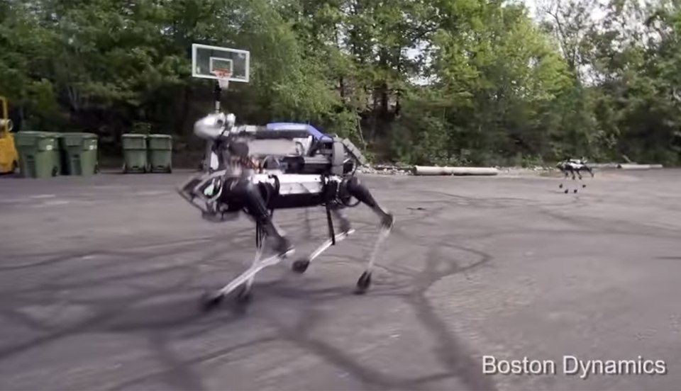 Would you let a robot like this into your home?