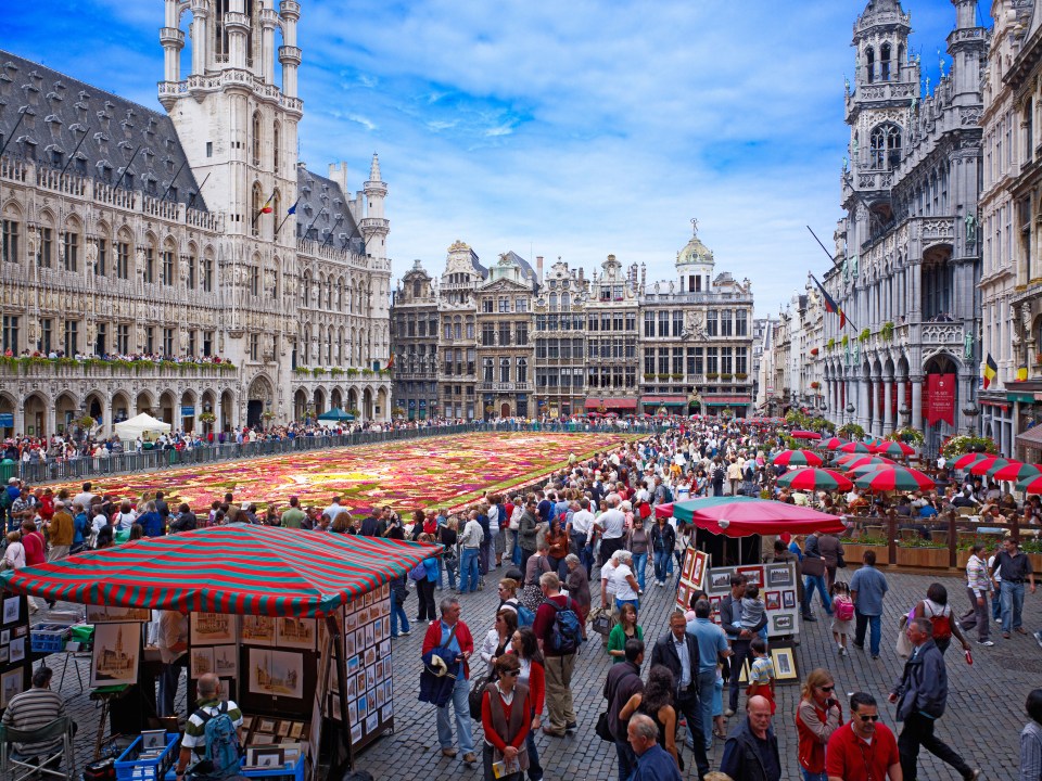 flower carpet and town hall on Grand Place Brussels, Brabant, Belgium, EUROPE