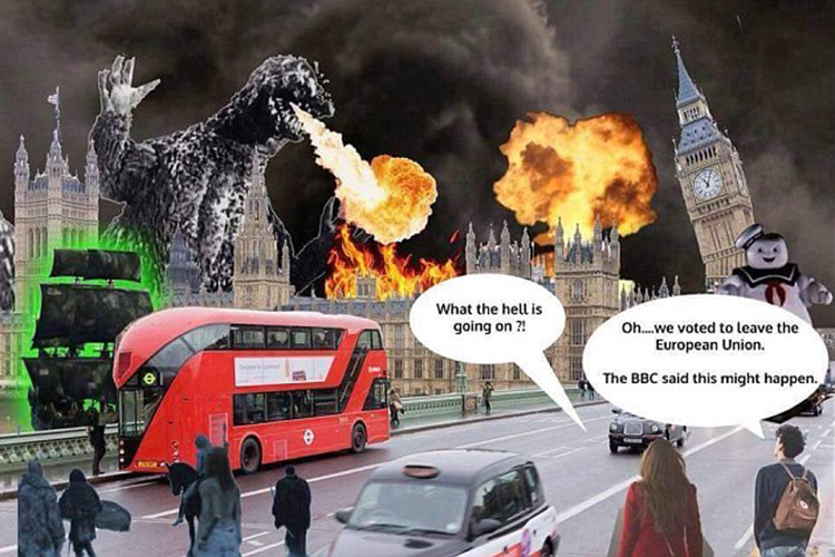EU referendum 