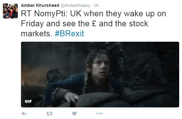 EU referendum 
