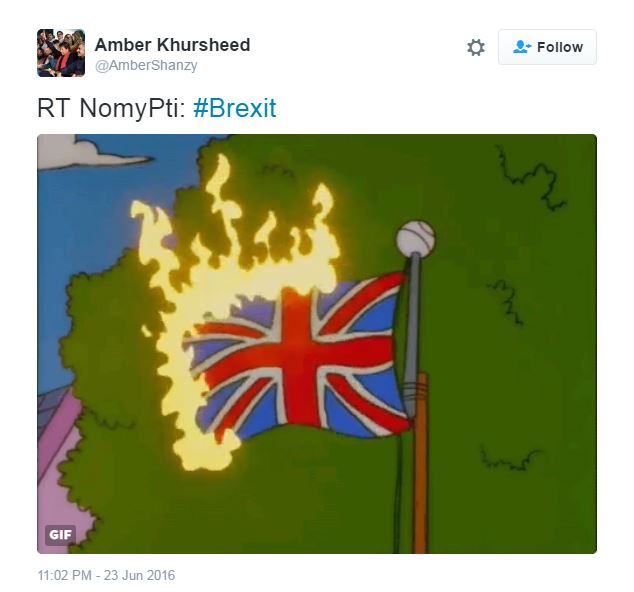 EU referendum 