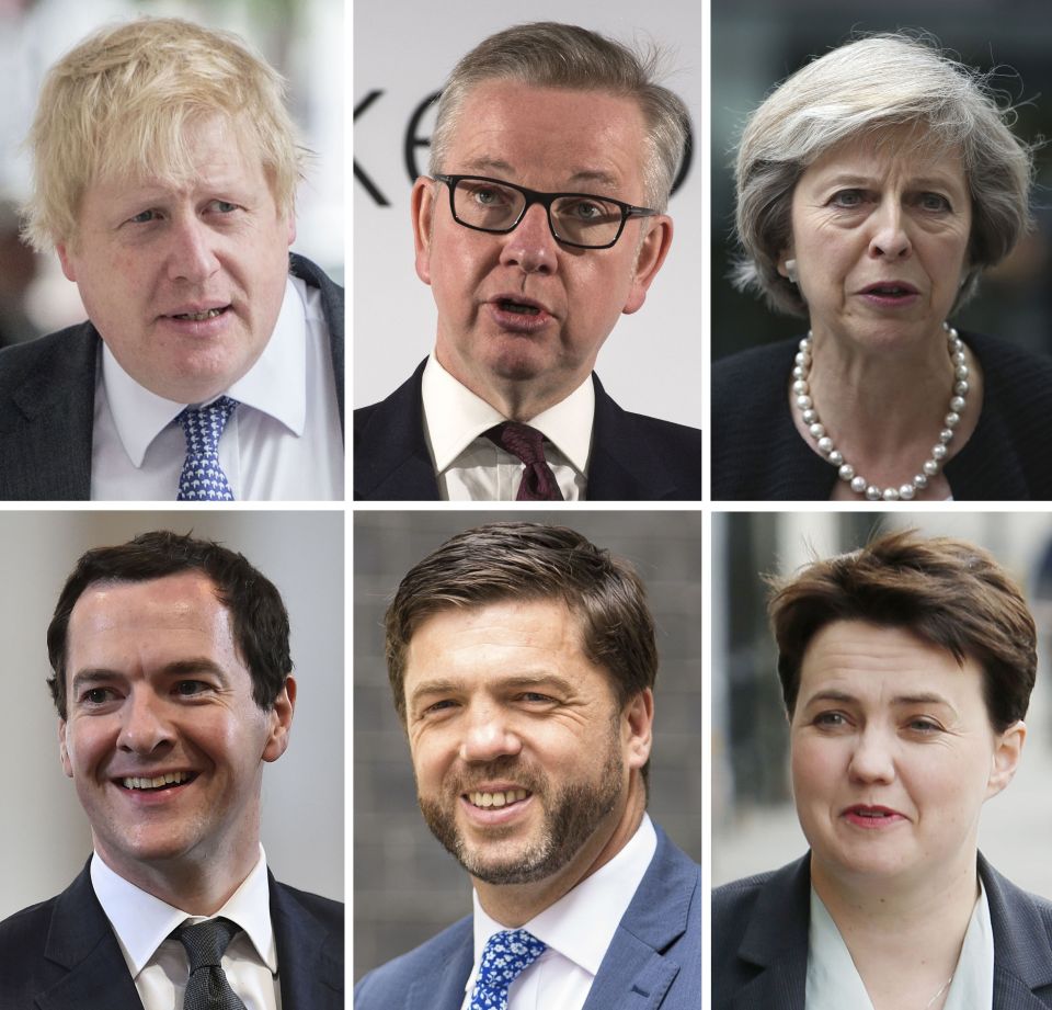 EU referendum Boris