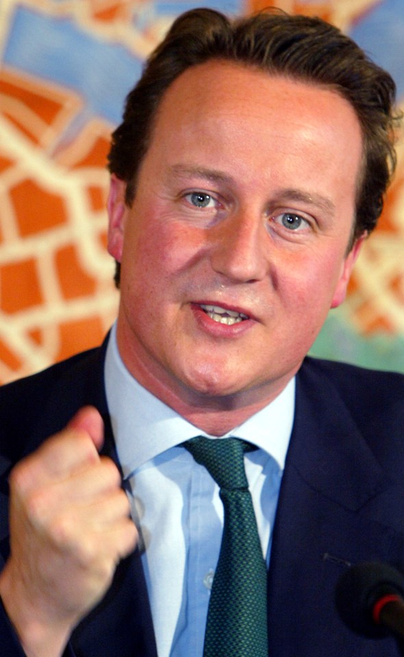 Cameron's youthful appeal helped him win the Tory leadership contest in 2005