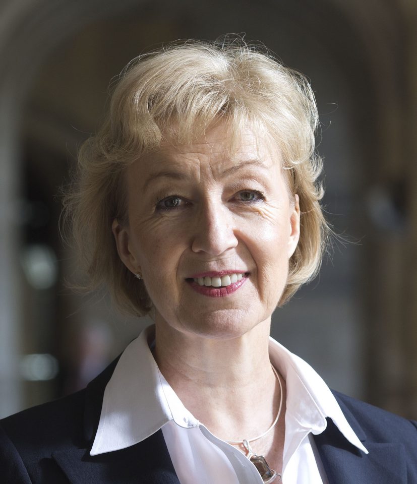 Rising star . . . Andrea Leadsom