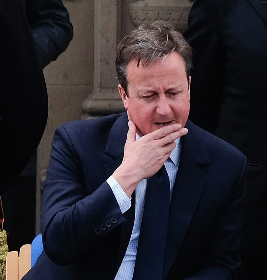 Set to bow out . . . PM Cameron