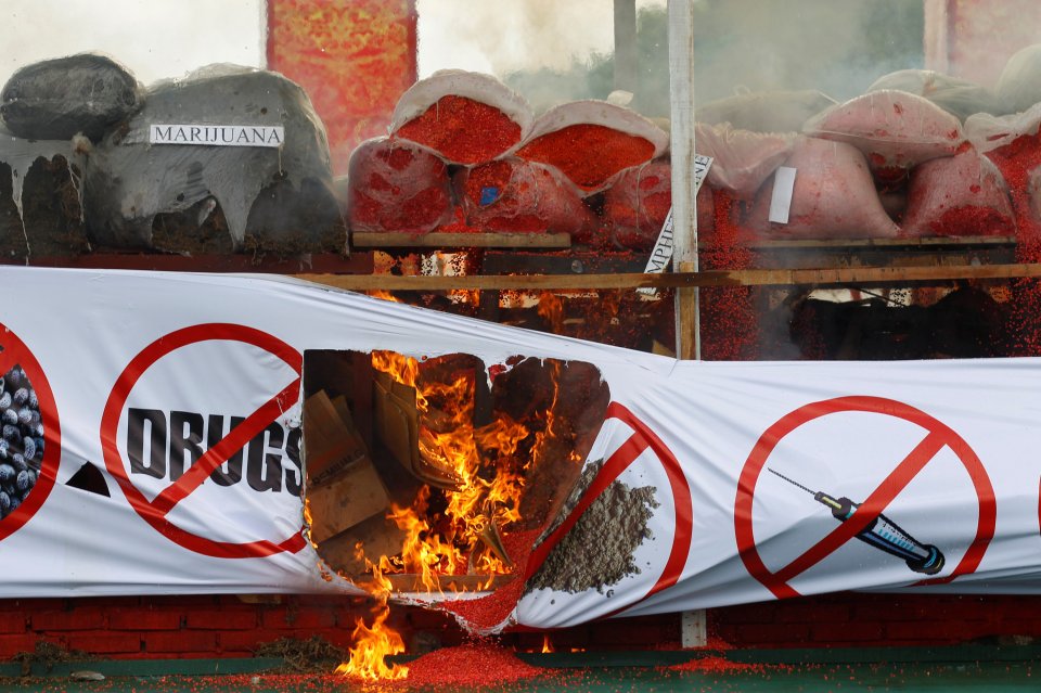 Seized drugs are seen on fire as they are destroyed at an event to mark International Day against Drug Abuse and Illicit Trafficking