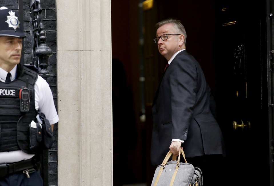 This embarrassing gaffe isn't likely to be a serious divide in Gove's relationship with Boris