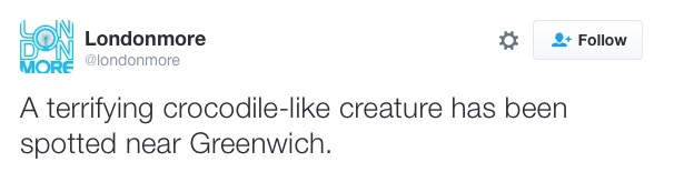 People who spotted the ropy looking crocodile took to twitter to warn others