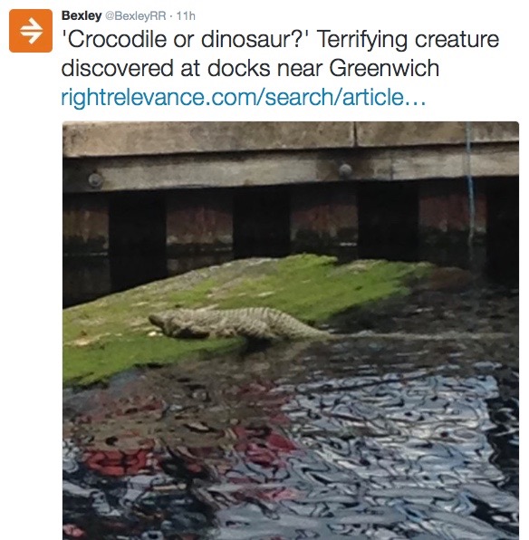 Dock workers were shocked to see the 'croc' lounging on a rock in the Thames near a watersports centre 