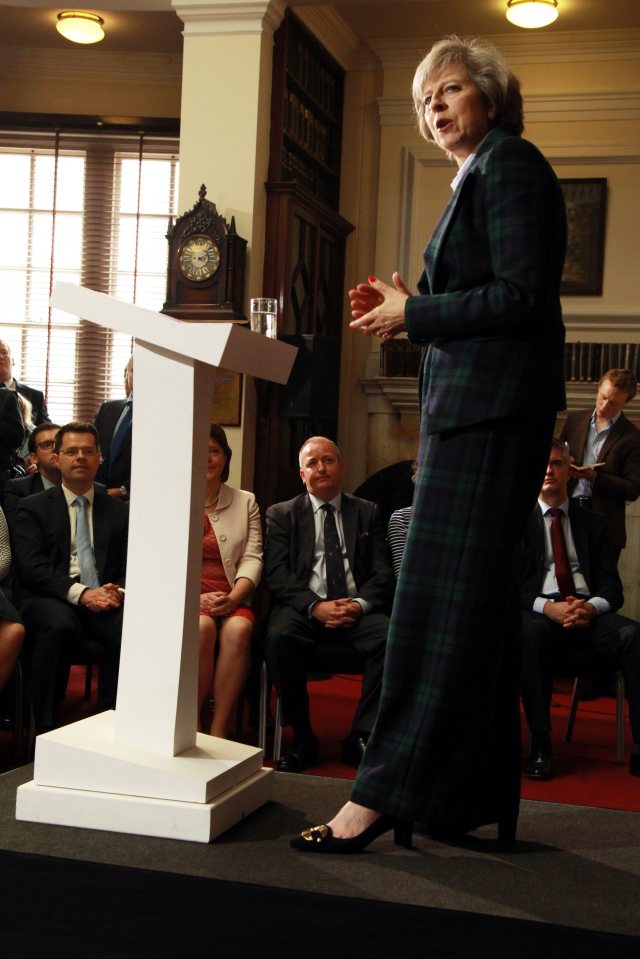Conservative Party leadership contender