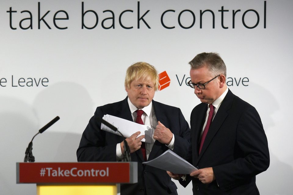Conservative Party leadership contender