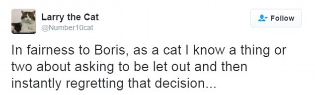 Larry the Downing Street cat adds his opinion on spoof Twitteraccount