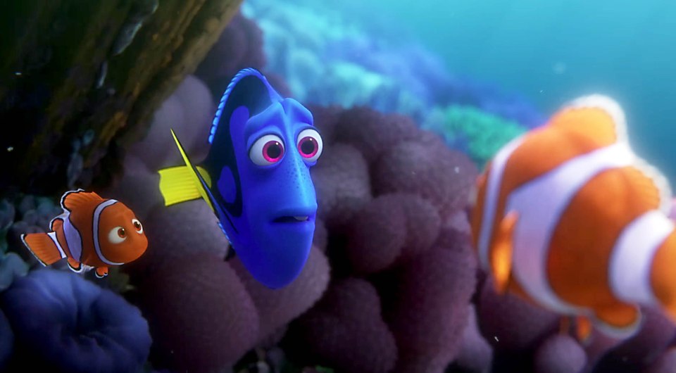 Finding Dory