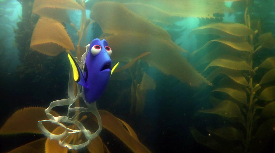 Finding Dory