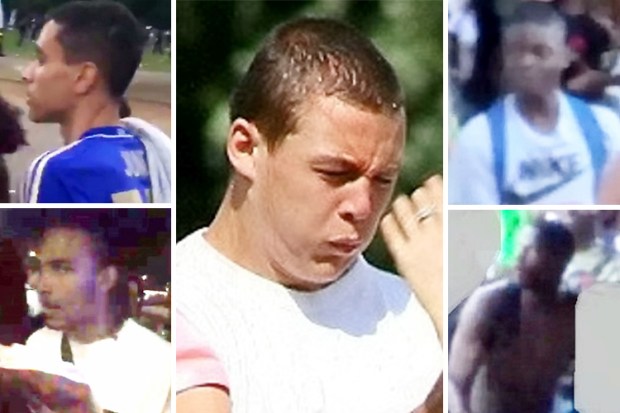 composite hyde park rogues gallery