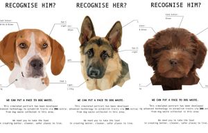 Council to use e-fit style images of dogs to try and name and shame owners who let their pets poo on the streets