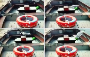 Hilarious moment brazen seagull steals bag full of change from ferry's moneybox