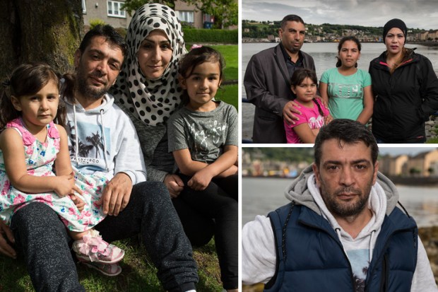 composite Syrian refugees