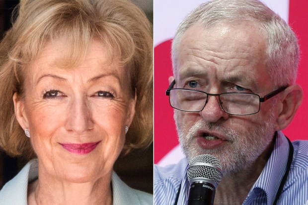 Leadsom and Corbyn