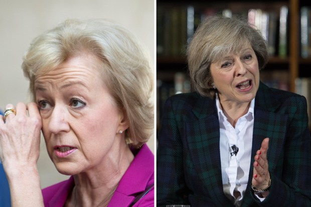 Andrea Leadsom Theresa May