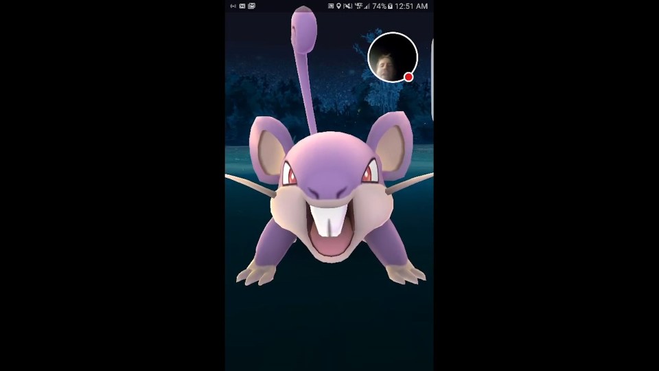 The Pokemon fan had just caught a wild Rattata