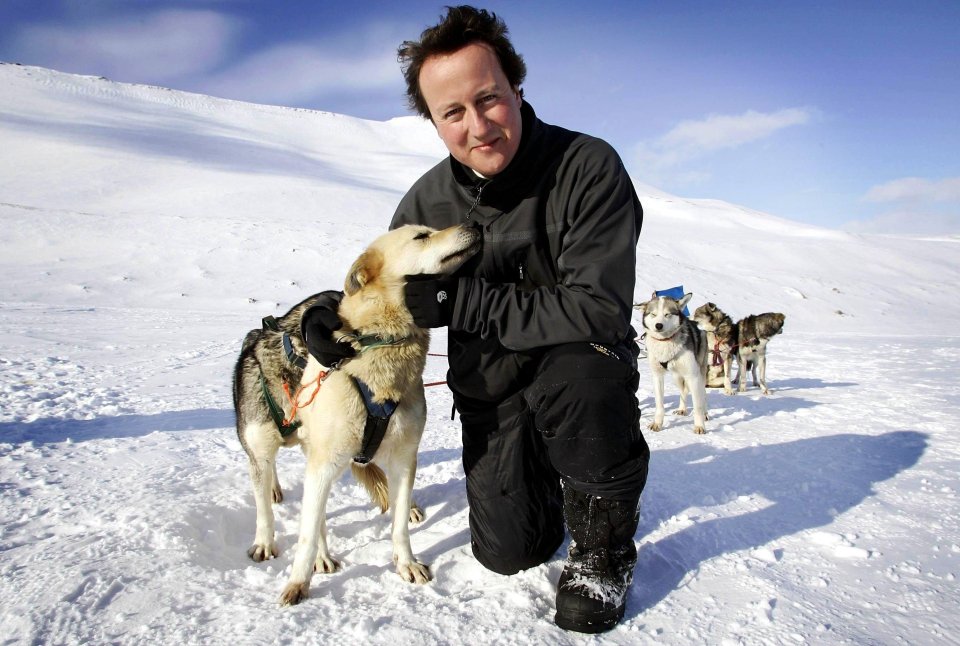 David Cameron