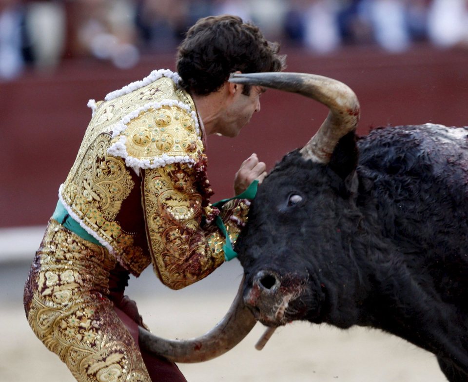 Bullfighter Jose Tomas was gored by the second bull of the evening during the bullfight at the Las Ventas bullring 