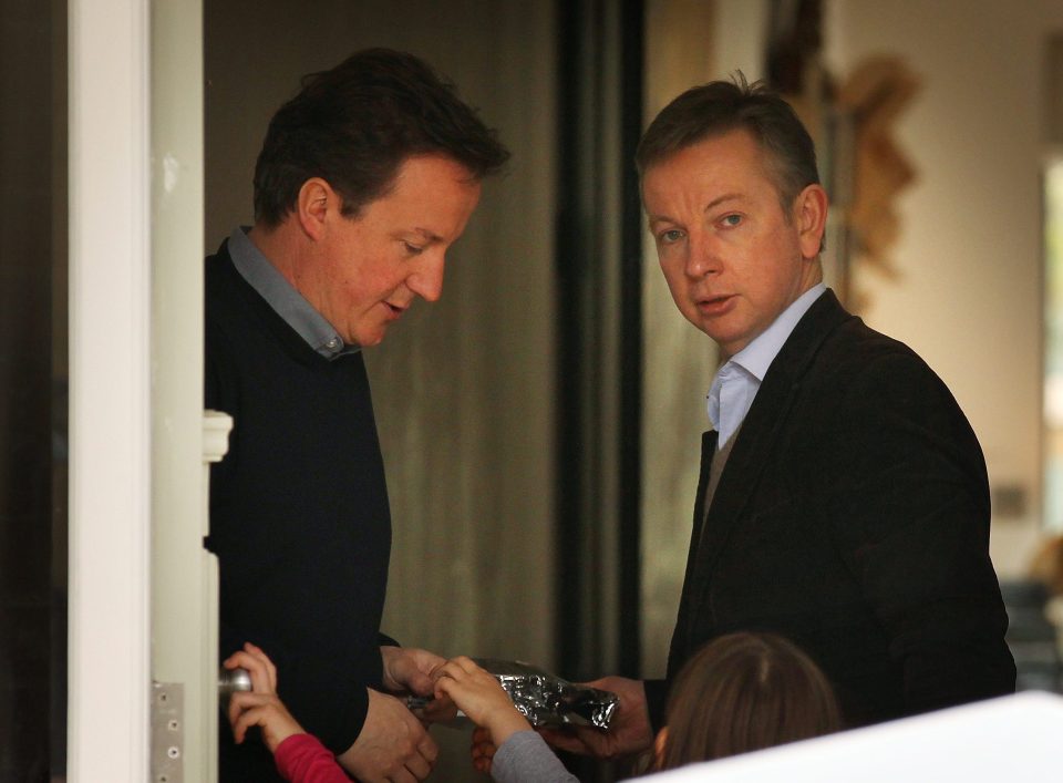 She views the actions of Gove, pictured here in 2008 with Cameron, to replace her husband as ""treacherous