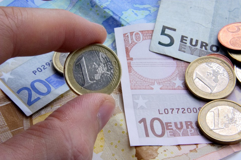 Euro notes and coins