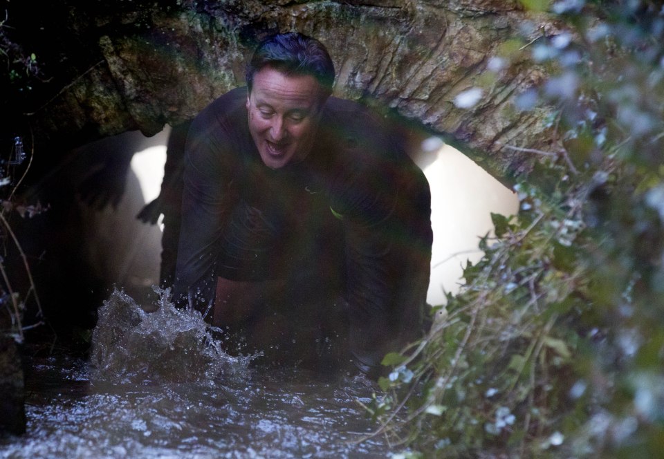 David Cameron