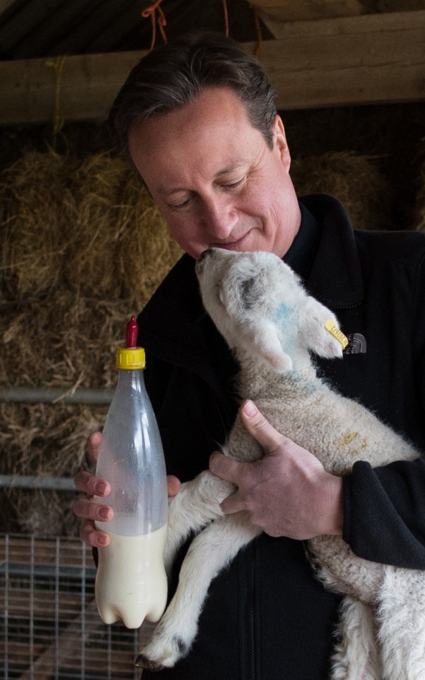 David Cameron